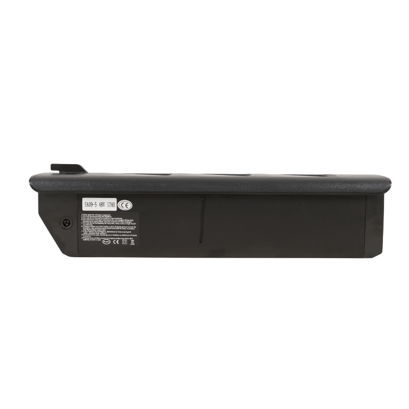 Mamba Savannah e-bike battery