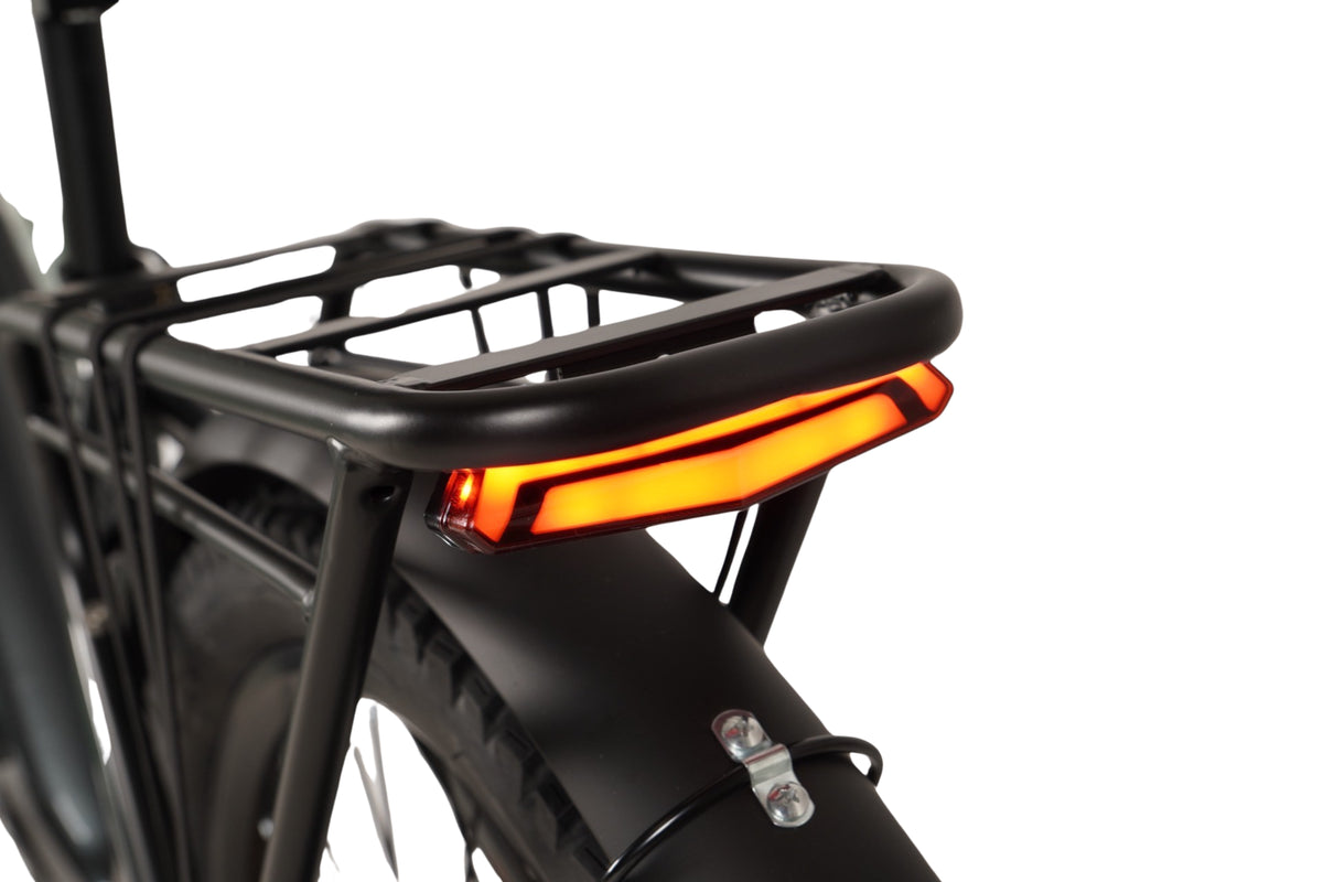 Mamba Antidote Trekking E-Bike, photo 12