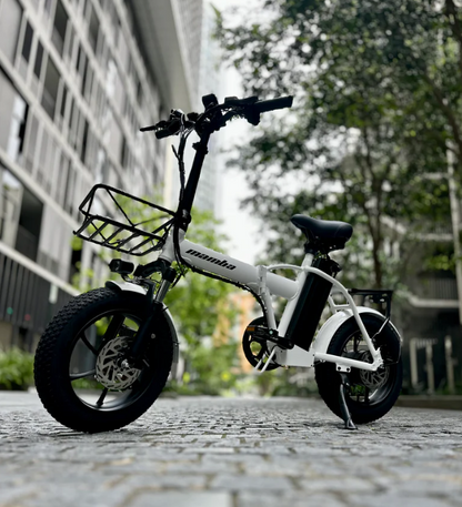2024 Mamba Taureg 48V18ah 500W Folding Ebike